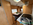 Caravanas de segunda mano, Caravanas Ocasión, Oferta de caravanas, Caravana seminueva, Sun Roller, Jazz, 3 ambientes, 6 plazas, Literas, Cama de matrimonio, Nevera con congelador, antena, avancé, ocasión maresme, ocasión Barcelona
