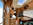Autocaravana ocasión, Autocaravana capuchina segunda mano, Autocaravana segunda mano barcelona, Autocaravana Knaus Traveller, autocaravana ocasión maresme, autocaravana en buen estado, Capuchina, placa solar, camas grandes, gran maletero, Catalunya