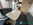Autocaravana, Challenger, Sport Edition, S294, perfilada, perfilada slim, cama abatible, cama de matrimonio, camas grandes, amplia, amplitud, Ford, 160cv, garaje, comedor face to face