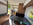 Caravana Caravelair, Caravelair, Alba, 400, Caravana nueva, 2 ambientes, a estrenar, Caravanas en Barcelona, Caravanas en Cataluña, Caravanas en el Maresme, Cama matrimonio, Comedor transformable, Modelo 2027,