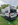 Camper, McLouis, Menfys, 4, Prestige, 4 plazas, Camas gemelas, Cama grande, Viajar, Dormir, Campers Maresme, Campers Barcelona, Campers Catalunya, furgoneta Citroën, wc, ducha integrada, barata, oportunidad, nueva a estrenar, modelo 2027, 