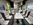 Autocaravana, Mc Louis, Mc4 Slim 337, Cama basculante sobre comedor, serie 300, perfilada, comedor convertible en cama, Barcelona, Venta de autocaravanas, Fiat, Ford, Maresme, Cataluña, Catalunya, Venta, Modelo 2027, autocaravana 4 plazas,