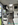 Autocaravana, Mc Louis, Mc4 Slim 331, Cama basculante sobre comedor, serie 300, perfilada, comedor convertible en cama, Barcelona, Venta de autocaravanas, Fiat, Ford, Maresme, Cataluña, Catalunya, Venta, Modelo 2027, autocaravana 4 plazas,