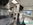 Autocaravana, Mc Louis, Mc4 Slim 367, Cama basculante sobre comedor, serie 300, perfilada, comedor convertible en cama, Barcelona, Venta de autocaravanas, Fiat, Ford, Maresme, Cataluña, Catalunya, Venta, Modelo 2027, autocaravana 4 plazas,