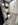 Autocaravana McLouis, Mc4, 321, Perfilada, ducha independiente, Gran armario trasero, Fiat, Ford, Autocaravana perfilada, Barcelona, Cataluña, Catalunya, Maresme, Nueva, Venda, Cama basculante sobre comedor, autocaravana 5 plazas, modelo 2027,
